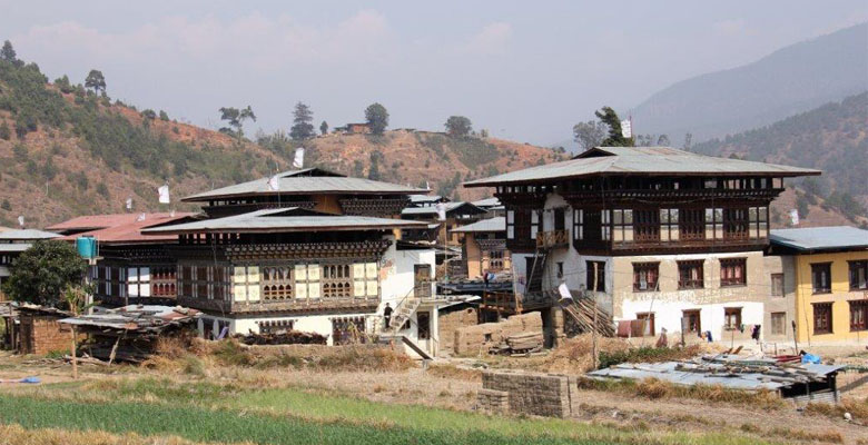 Traditional Bhutanese Style Houses