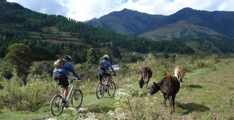 Bike from Paro to Tiger's Nest Monastery