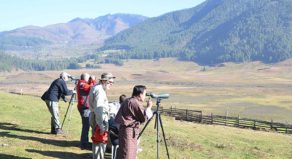 Go for Bhutan Bird Watching Tours with Us