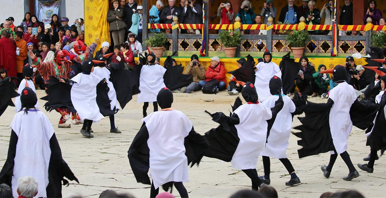 Black Necked Crane Festival