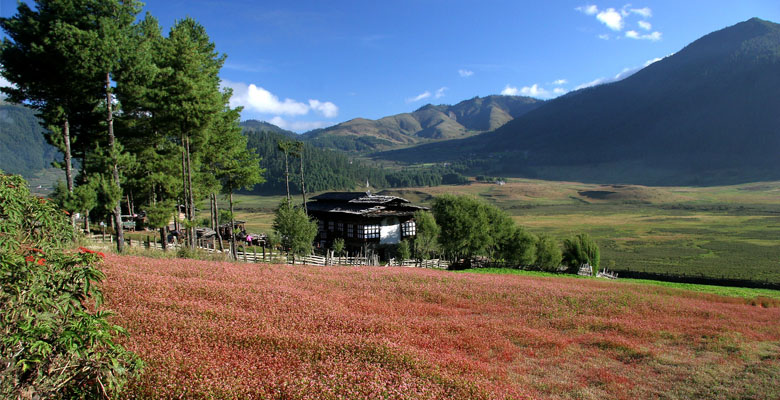 The stunning natural scenery of Bumthang Valley