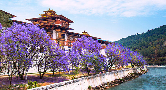 Go for Bhutan Photo Tours with Us