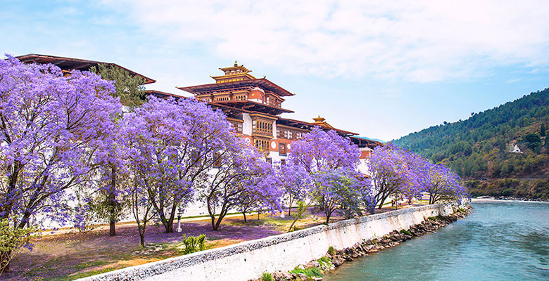 Punakha Dzong in Spring