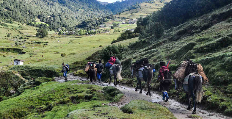 Merak Sakteng Trek