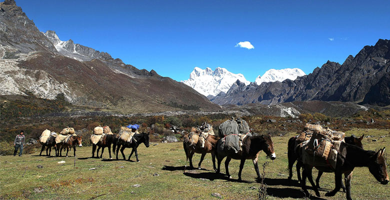 Jhomolhari Laya Gasa Trek