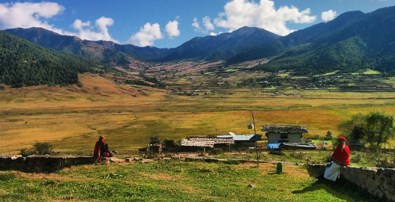 Gangtey trek