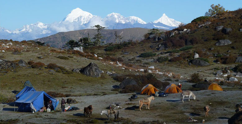 Camping at Laya