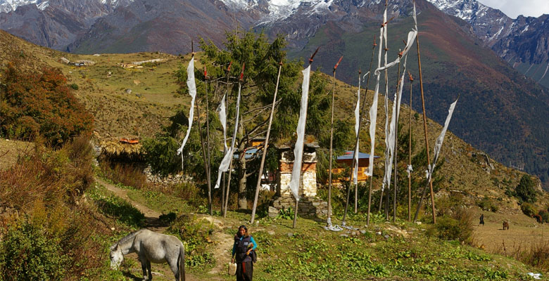 Paro Bumdrak Trek