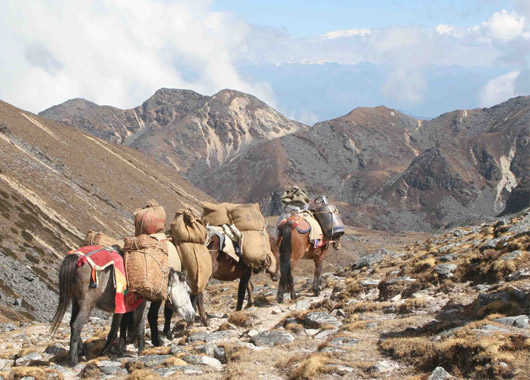 Eastern Bhutan Trekking Tours