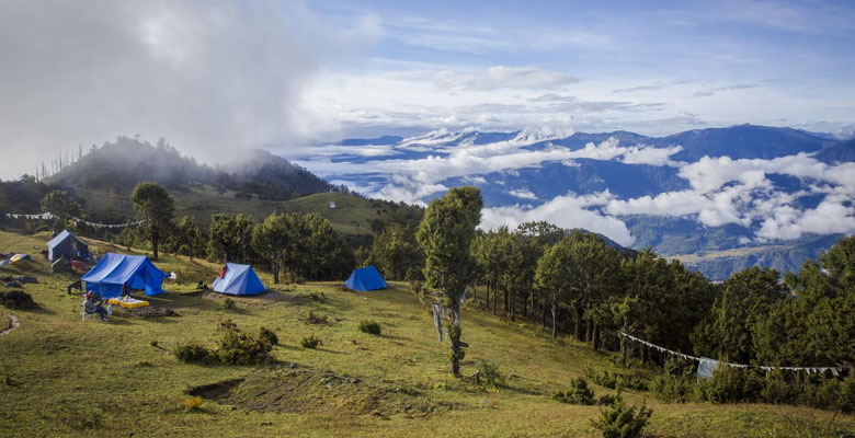 Druk Path Trek