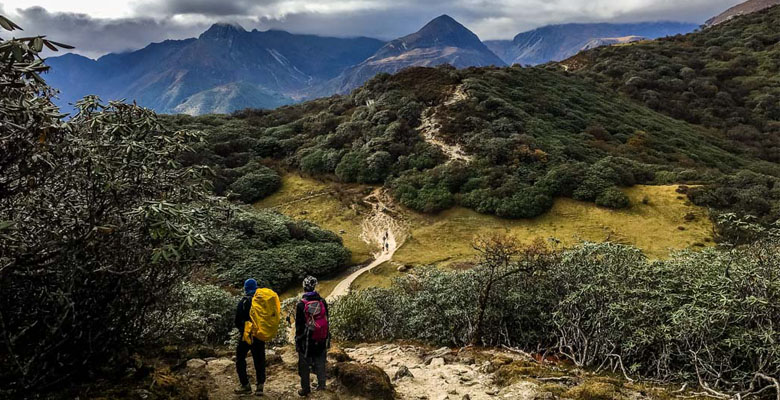 Gangtey trek is one of the most enthralling hikes in Bhutan