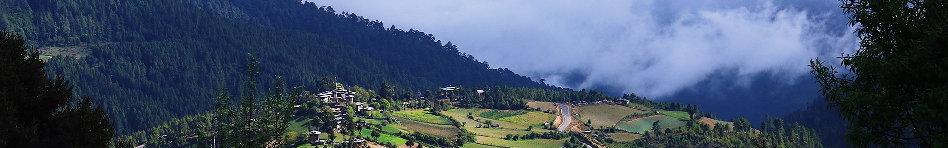 Bhutan Monsoon Season: Is that really a bad idea to visit Bhutan in June, July and August?