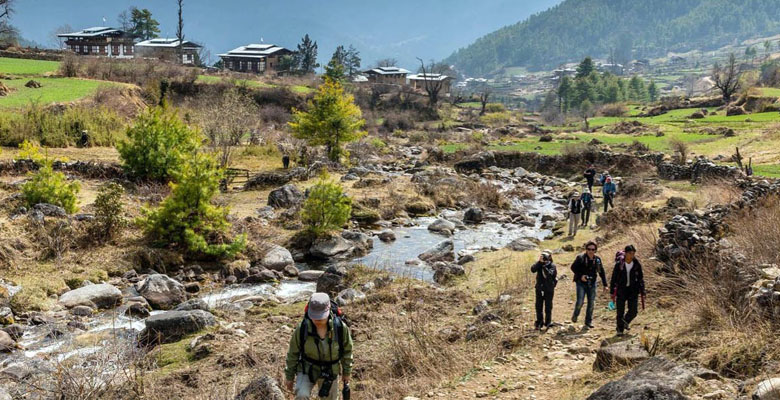 Enjoy Gangtey trek in November