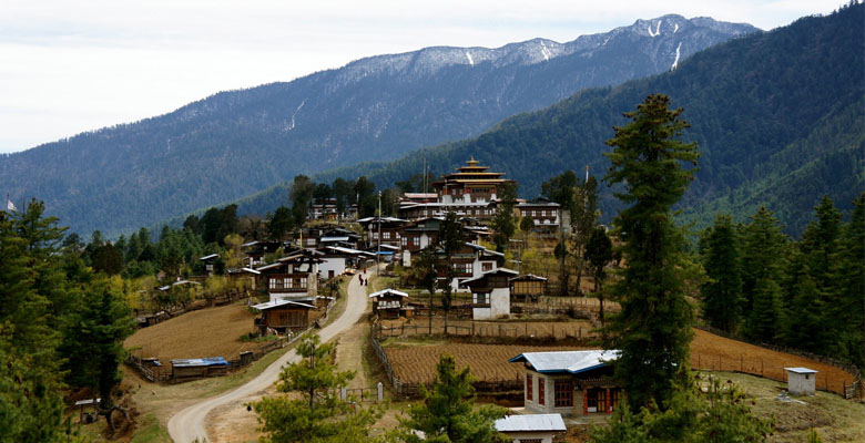 Beautiful Valleys in Gangtey