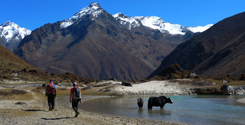 Jomolhari Mountain Trek