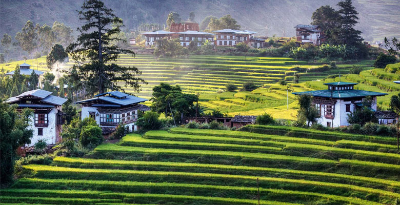 The rice terraces in Bhutan is amazing sights in the world