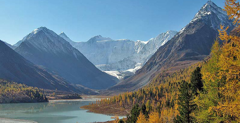 Classic trek to Jangothang Base Camp