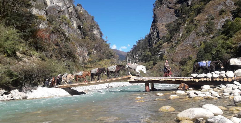  Paro Chhu Valley 