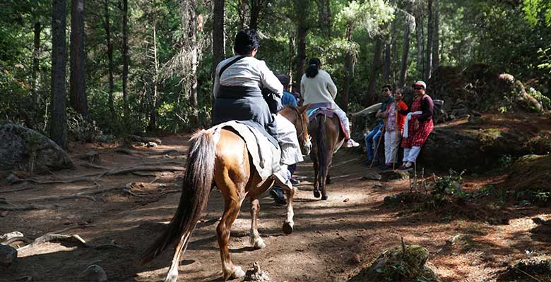 Take a Horse Ride to Taktsang Monastery (Tiger’s Nest Monastery)